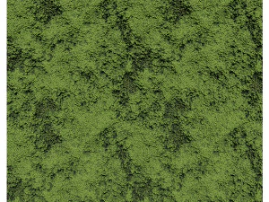 森林苔藓01A CG 纹理