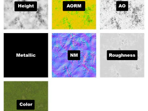 森林苔藓01A CG 纹理