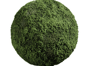 Moss 01 B CG Текстуры