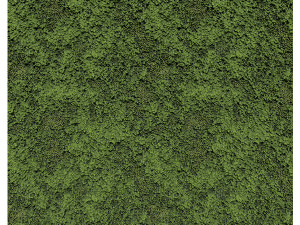 Moss 01 B CG Textures