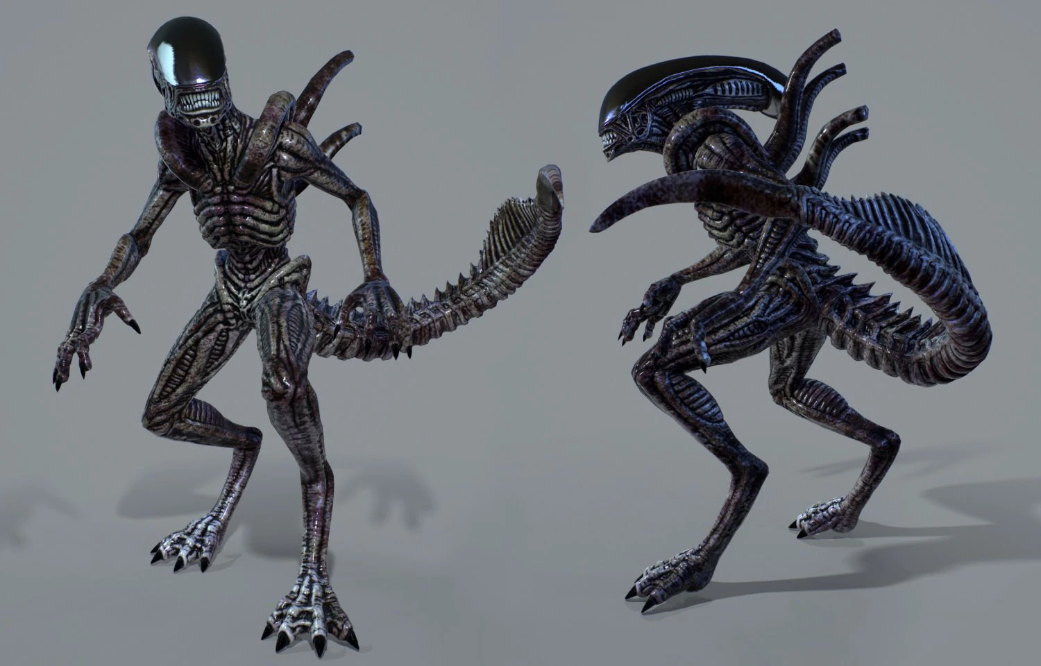 alien xenomorph vr - ar - low-poly 3D Model .c4d .max .obj .3ds .fbx .stl .blend