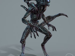 alien xenomorph vr - ar - low-poly 3D-Modell