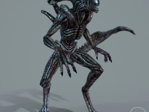alien xenomorph vr - ar - low-poly 3D Model