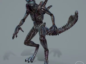 alien xenomorph vr - ar - low-poly 3D Model