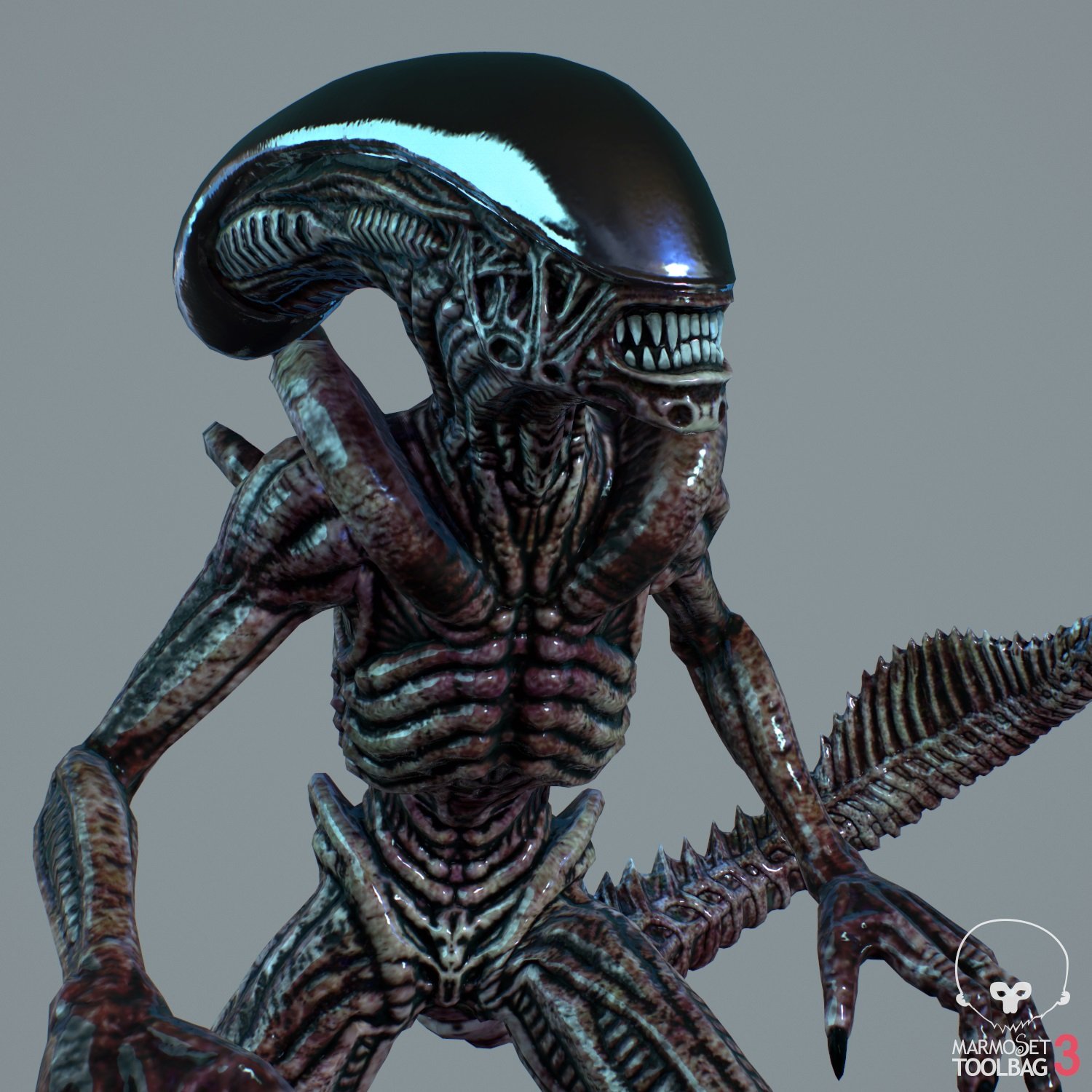 Alien Xenomorph VR AR lowpoly 3D Model in Alien 3DExport