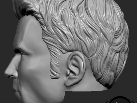 Chris Evans Captain America 3D printable for action figures Model Cetak 3D