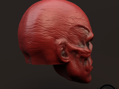 RedSkull Johann Shmidt 3D printable for action figures 3D Print Model