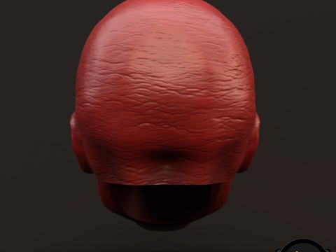 RedSkull Johann Shmidt 3D printable for action figures 3D Print Model