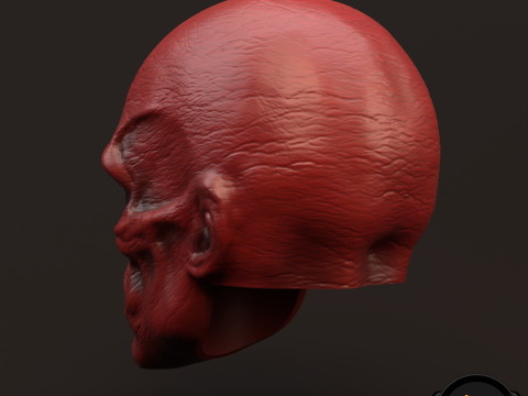 RedSkull Johann Shmidt 3D printable for action figures 3D Print Model
