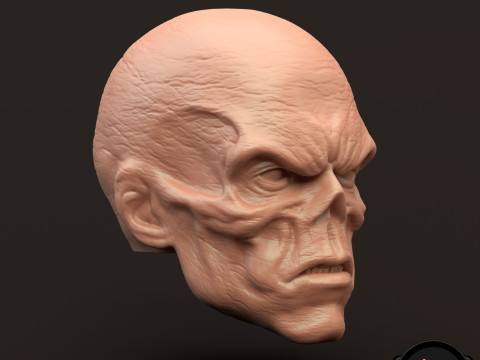 RedSkull Johann Shmidt 3D printable for action figures 3D Print Model