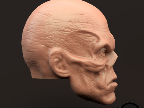 RedSkull Johann Shmidt 3D printable for action figures 3D Print Model
