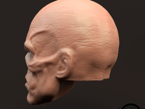 RedSkull Johann Shmidt 3D printable for action figures 3D Print Model
