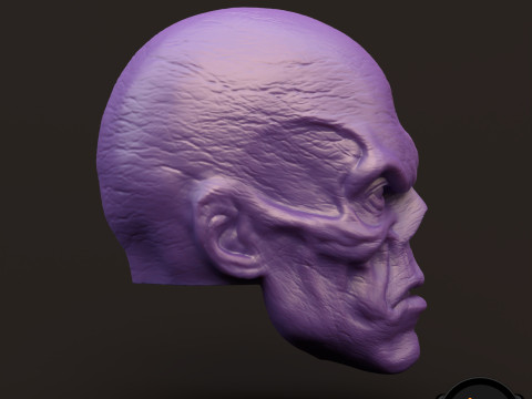 RedSkull Johann Shmidt 3D printable for action figures 3D Print Model
