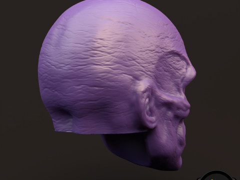RedSkull Johann Shmidt 3D printable for action figures 3D Print Model