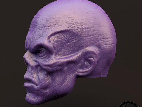 RedSkull Johann Shmidt 3D printable for action figures 3D Print Model