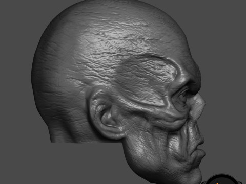 RedSkull Johann Shmidt 3D printable for action figures 3D Print Model