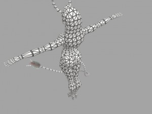 sukub 3D Model