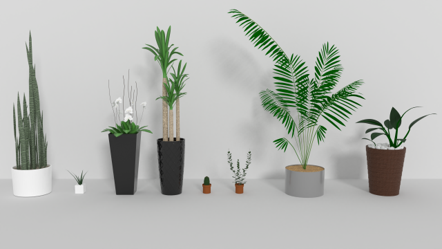 indoor plants Modèle 3D .c4d .max .obj .3ds .fbx .stl .blend 