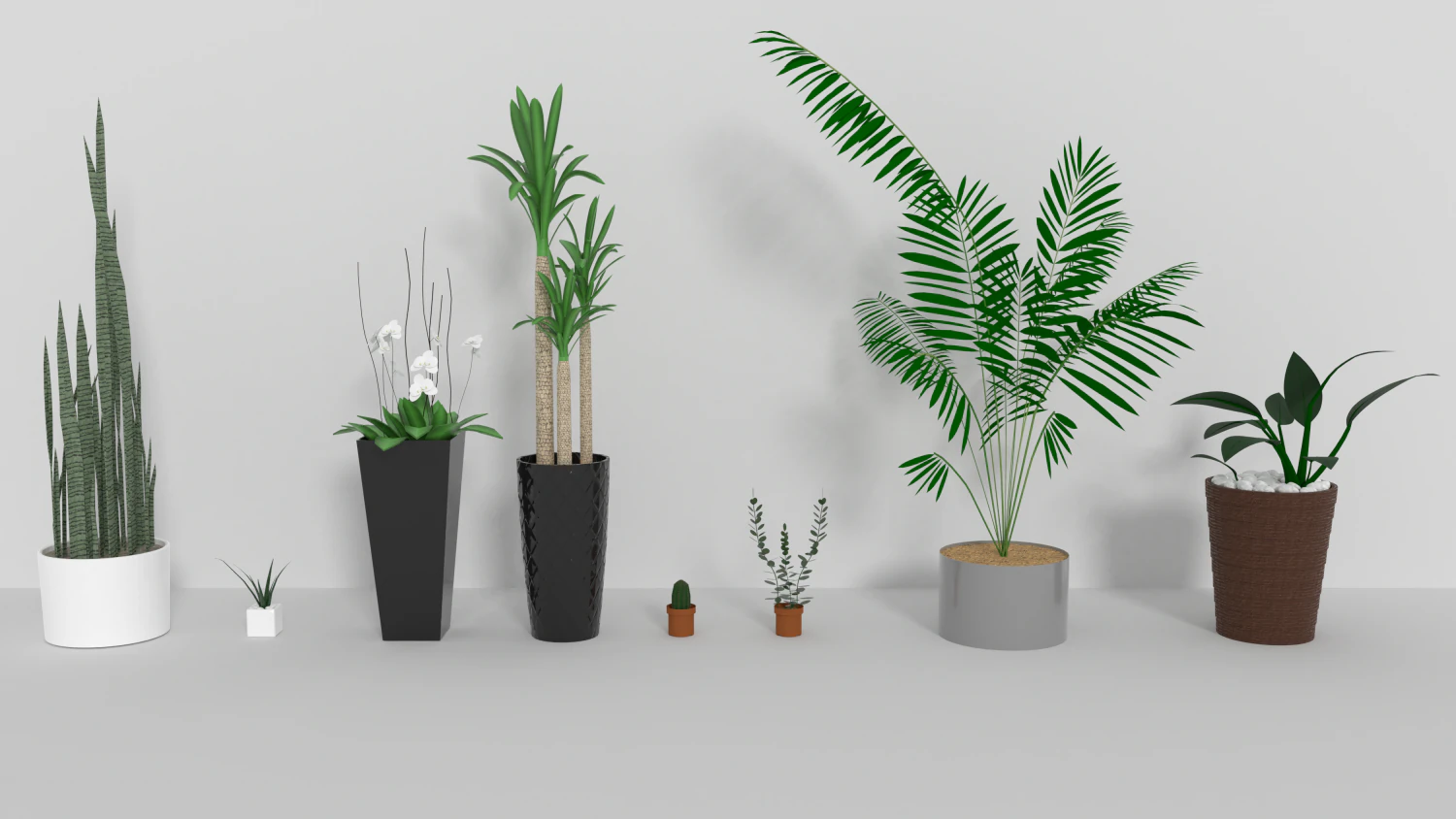 indoor plants 3D Model .c4d .max .obj .3ds .fbx .stl .blend 