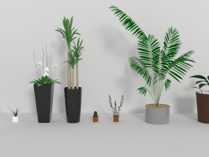 indoor plants 3D Model