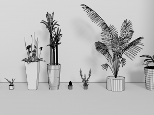 indoor plants Modèle 3D