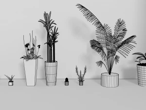 indoor plants 3D Model