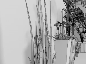 indoor plants 3D Model