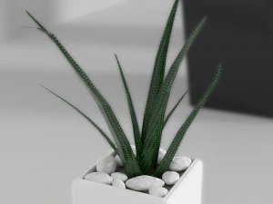 indoor plants 3D Model