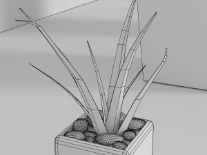 indoor plants 3D Model
