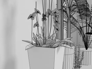 indoor plants 3D Model