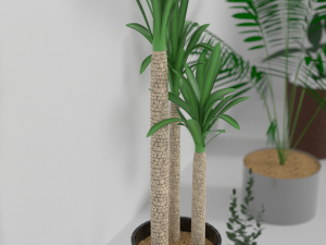 indoor plants Modèle 3D