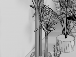 indoor plants Modèle 3D