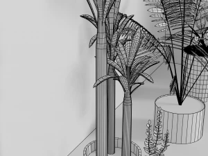 indoor plants 3D Model