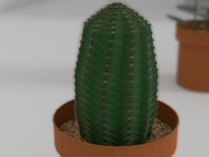 indoor plants Modèle 3D