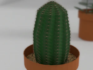 indoor plants 3D Model