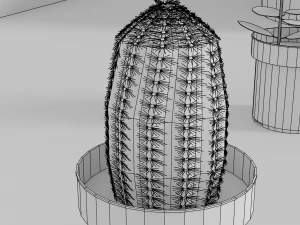 indoor plants 3D Model