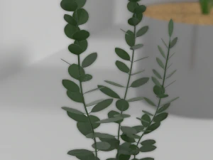 indoor plants 3D Model