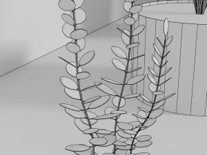 indoor plants 3D Model