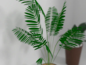 indoor plants 3D Model