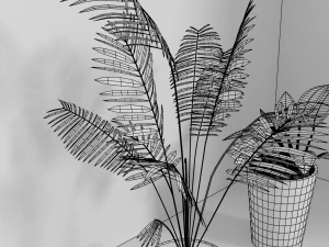 indoor plants 3D Model
