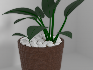 indoor plants Modèle 3D