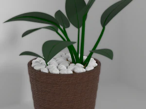 indoor plants 3D Model