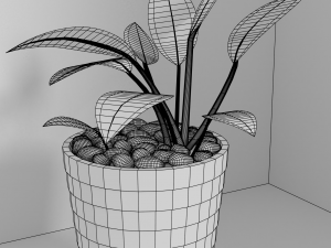 indoor plants Modèle 3D