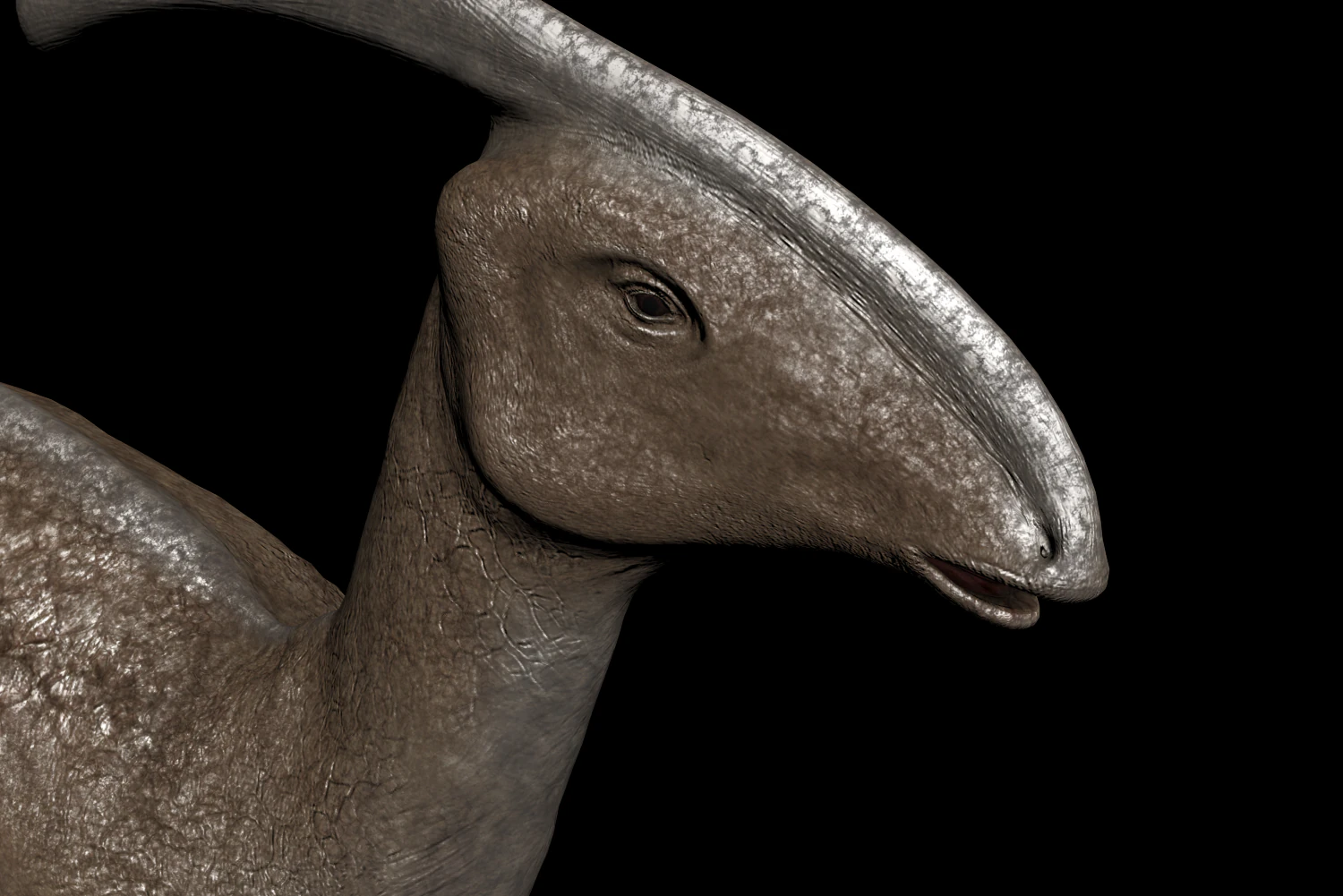 parasaurolophuspic 3D Model .c4d .max .obj .3ds .fbx .stl .blend 