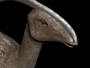 parasaurolophuspic Model 3D