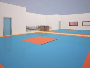karate club 3D Model