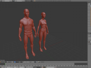 realistic human basemesh - male female - free sample preview 3D Model