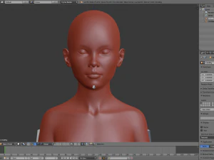 3d realistic basemesh - child body -uvmapped - rigged model 3D Model