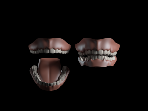 realistic human basemesh - rigged - uvmapped - woman body 3D Model