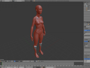 realistic human basemesh - rigged - uvmapped - woman body 3D Model